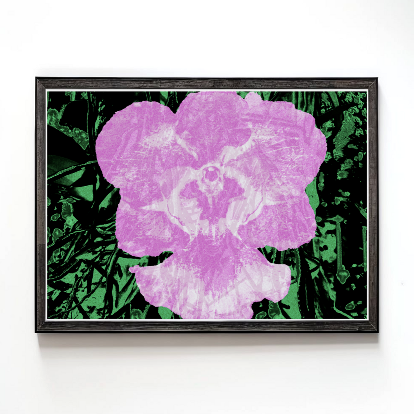 Vanda, 2023 by Weims