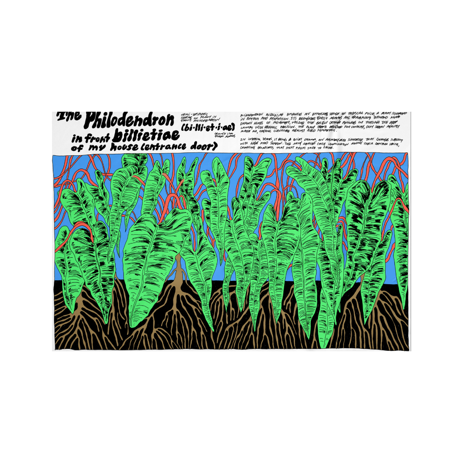 Philodendron by nnene.iie