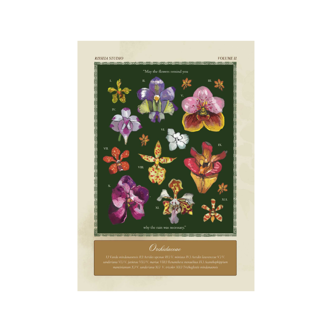 Mga Dapo: A Philippine Orchidaceae Plate by Cha Consul