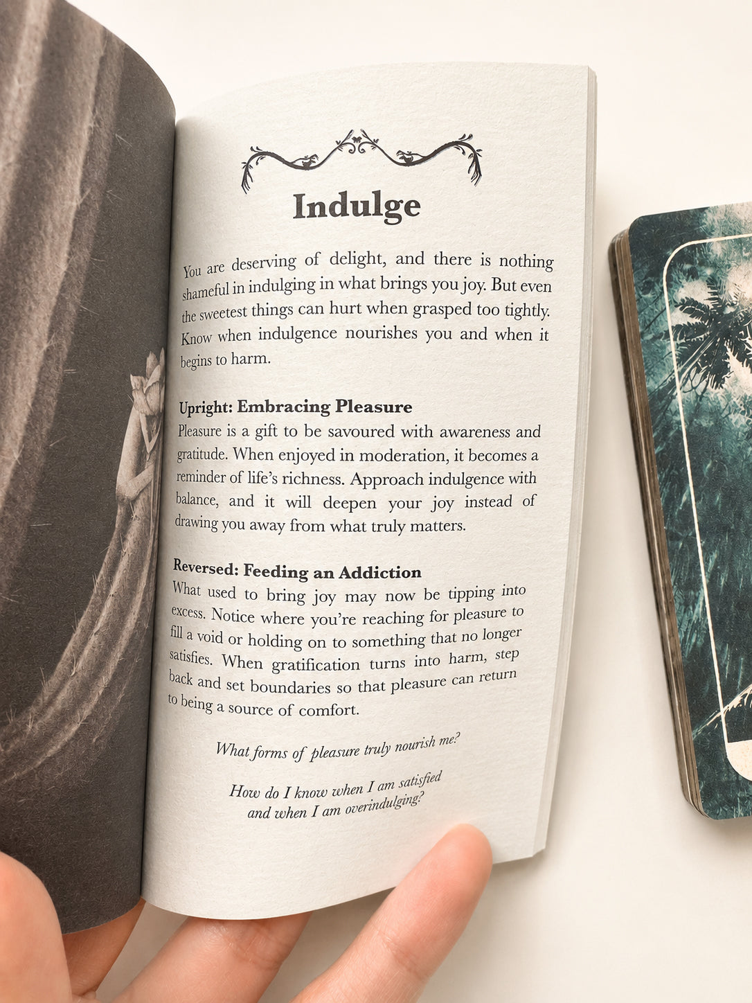 Intimate Shadows Card Deck by The Next Most Famous Artist