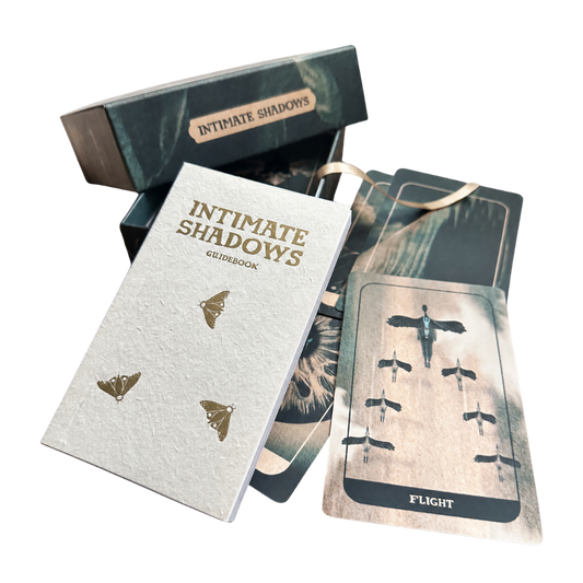 Intimate Shadows Card Deck by The Next Most Famous Artist