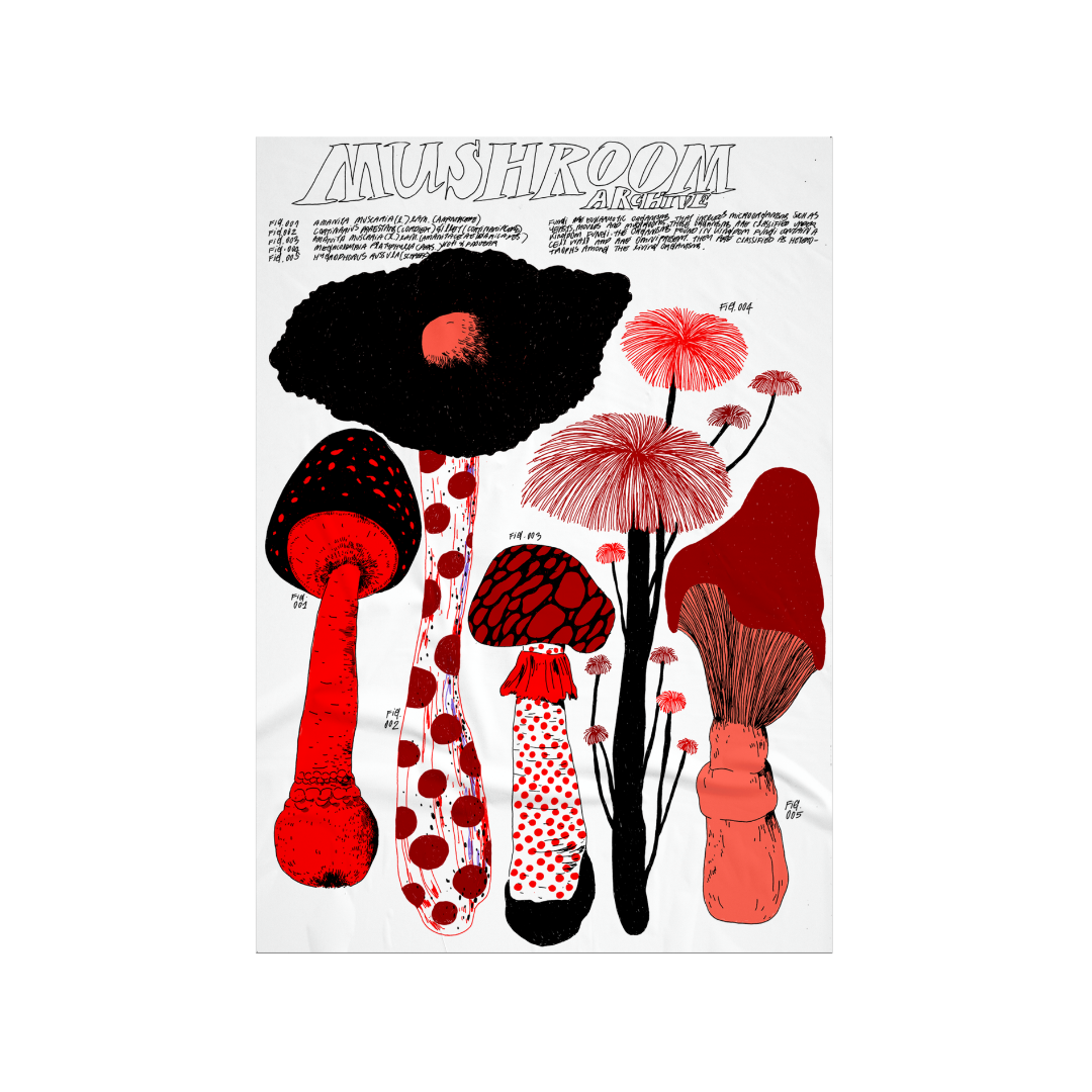 Mushroom Archive (Orange) by nnene.iie