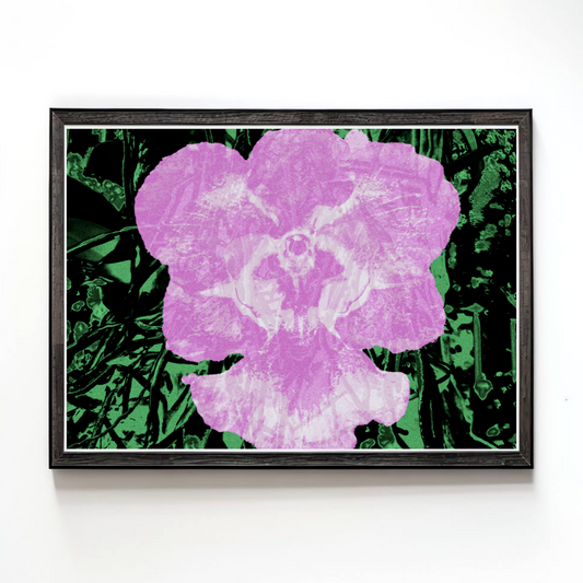 Vanda, 2023 by Weims