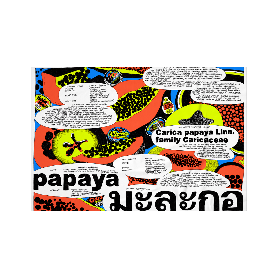 Papaya by nnene.iie