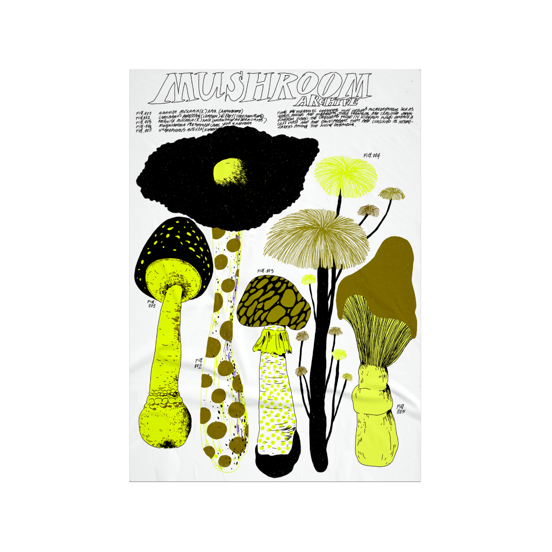 Mushroom Archive (Yellow) by nnene.iie