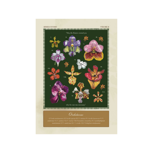 Mga Dapo: A Philippine Orchidaceae Plate by Cha Consul