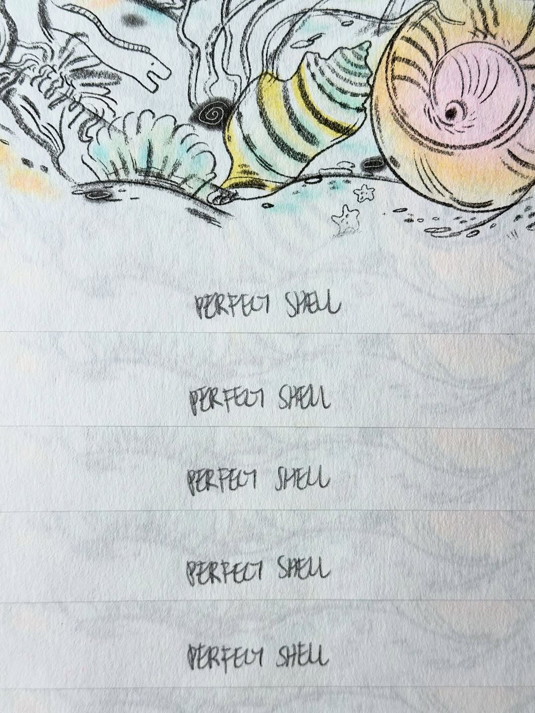 Perfect Shell by Nat Kunyapat
