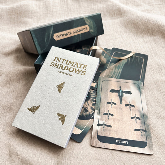 Intimate Shadows Card Deck by The Next Most Famous Artist