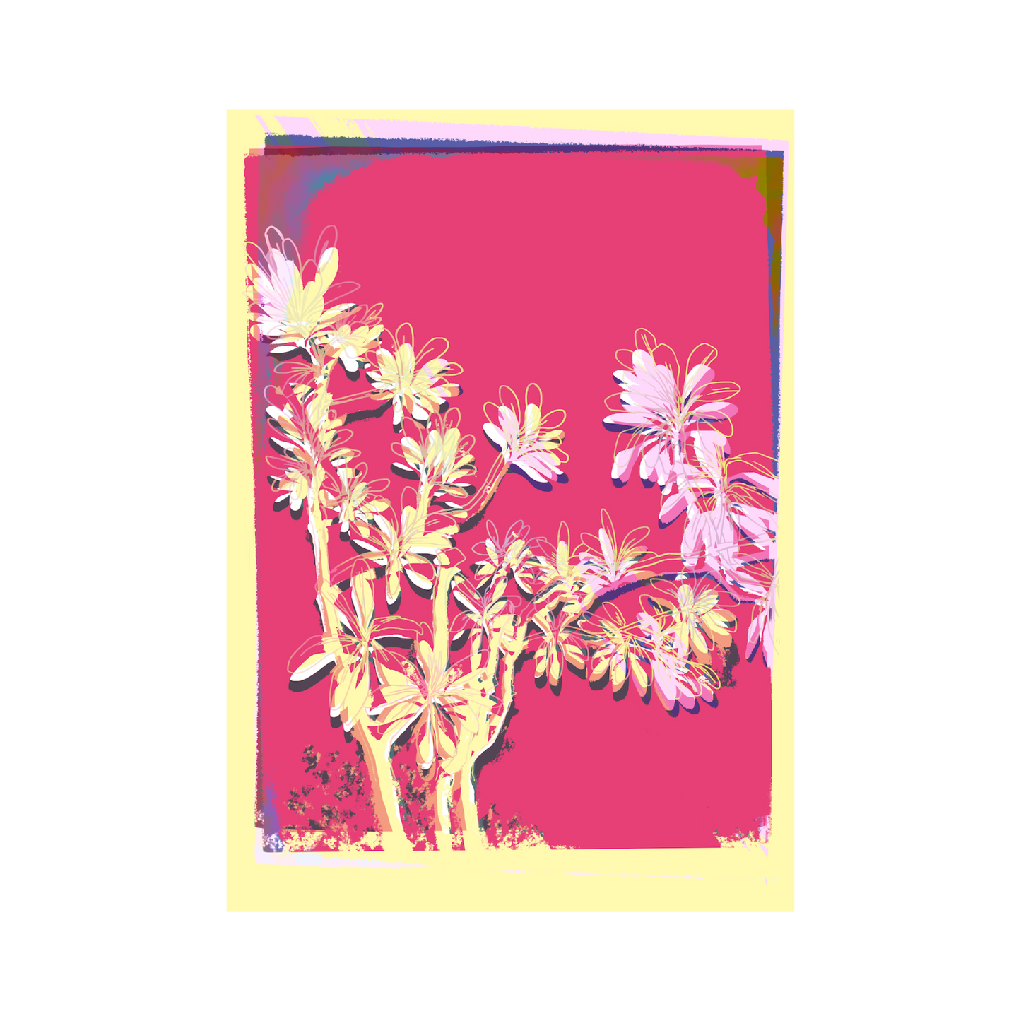 Frangipani by Nadia So