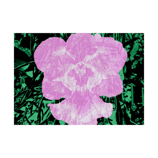 Vanda, 2023 by Weims