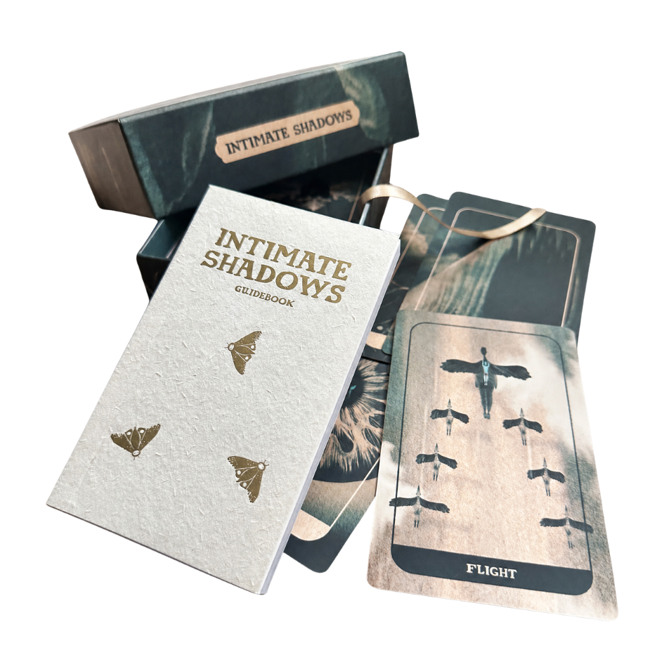 Intimate Shadows Card Deck by The Next Most Famous Artist