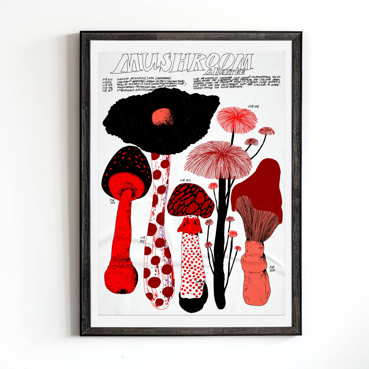 Mushroom Archive (Orange) by nnene.iie