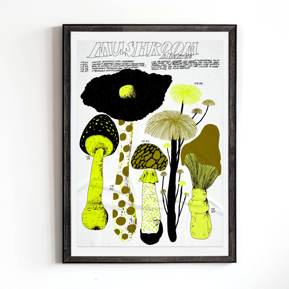 Mushroom Archive (Yellow) by nnene.iie