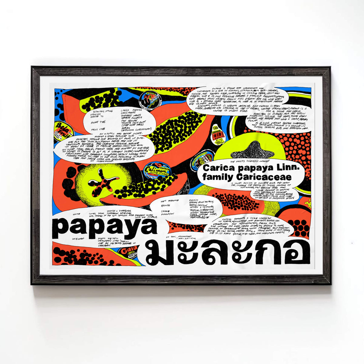 Papaya by nnene.iie